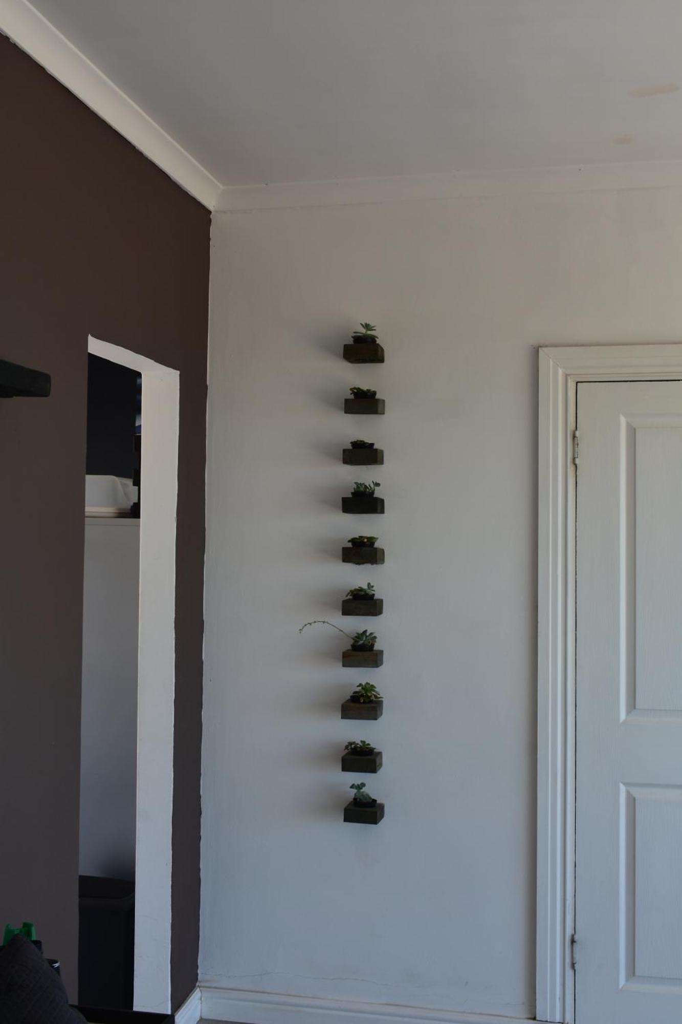 The Lazy Daisies Apartment St Helena Bay Exterior photo